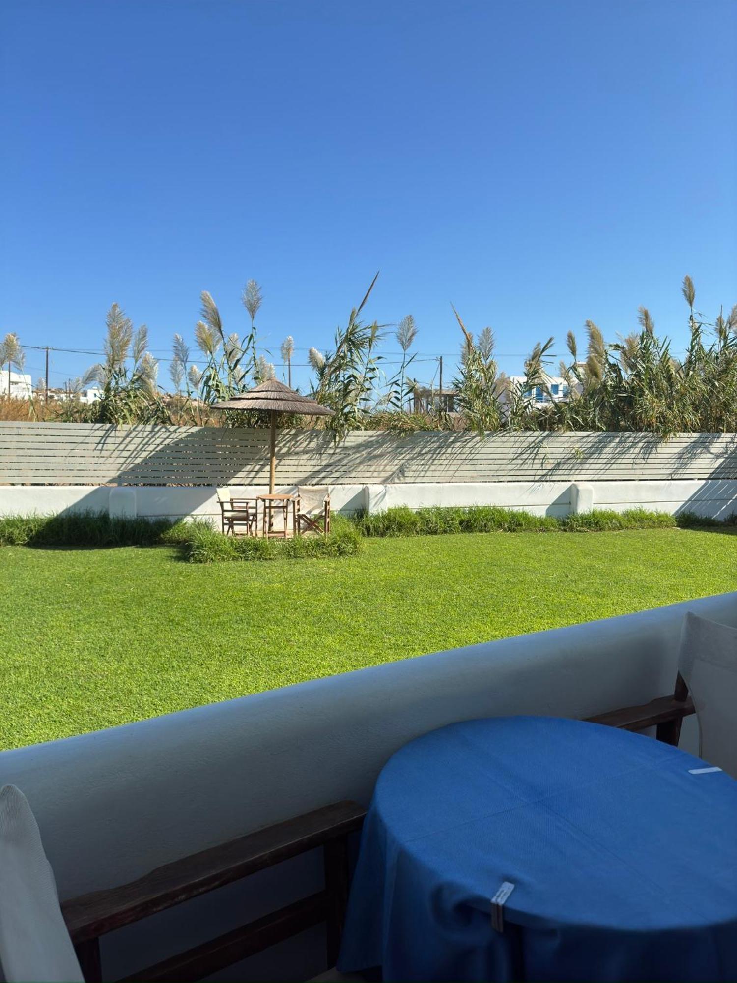 Dimitra Aparthotel Agios Prokopios（纳克索斯）